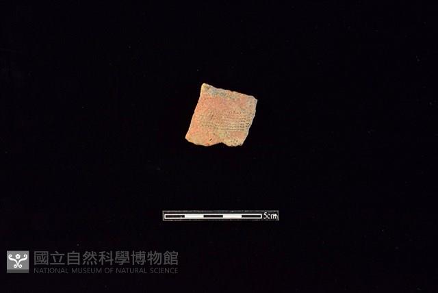 陶罐藏品圖，第1張