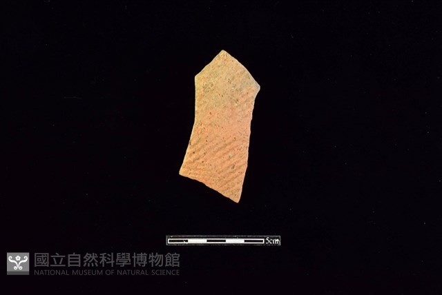 陶片藏品圖，第1張