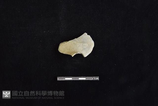 陶甑藏品圖，第1張