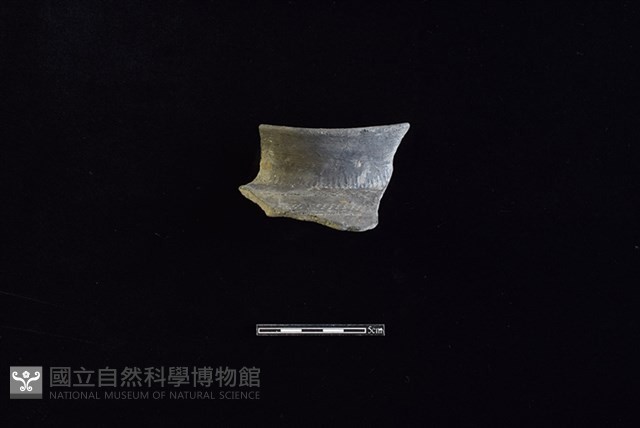 陶罐藏品圖，第1張