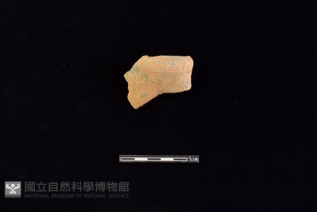 陶罐藏品圖，第1張