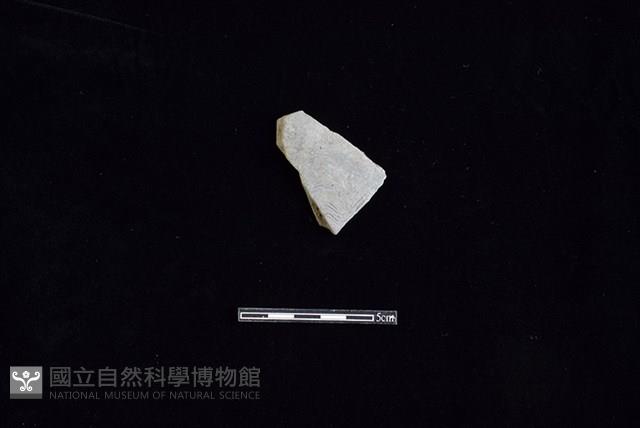 陶片藏品圖，第1張