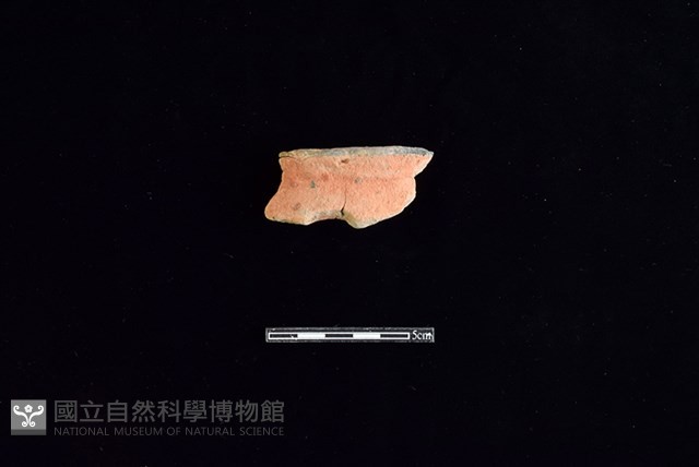 陶片藏品圖，第1張