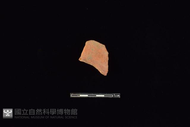 連杯形器藏品圖，第1張