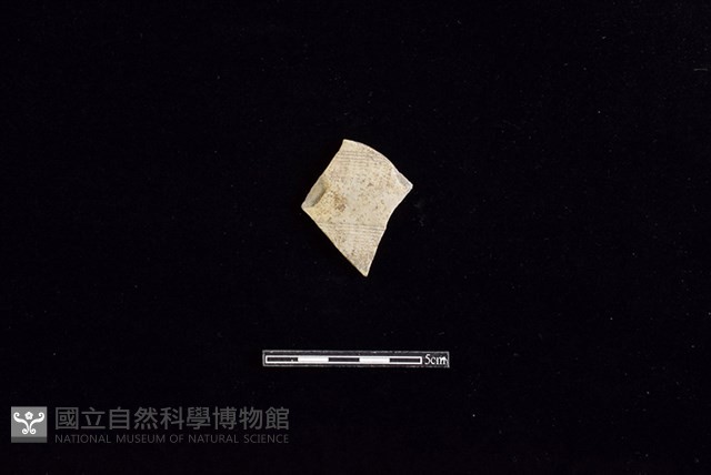陶片藏品圖，第1張