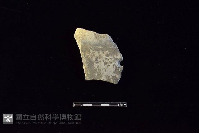 陶片藏品圖，第1張