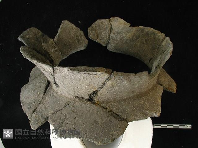 陶片藏品圖，第1張