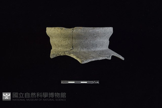 陶罐藏品圖，第1張