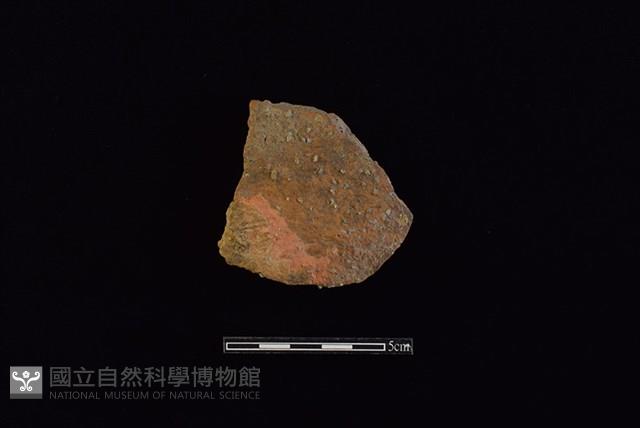 陶片藏品圖，第1張