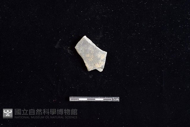 陶片藏品圖，第1張