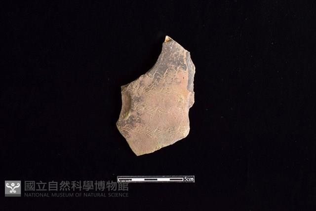 陶片藏品圖，第1張