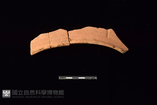 連杯形器藏品圖，第1張