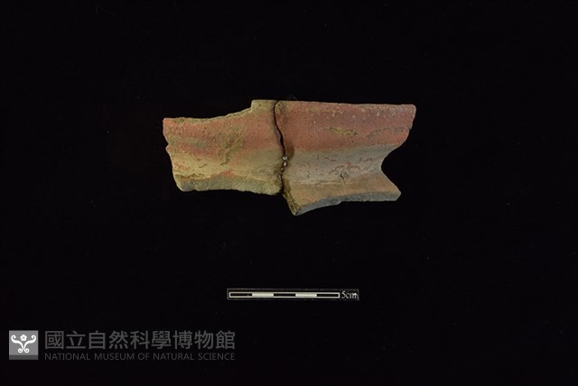 陶罐藏品圖，第1張