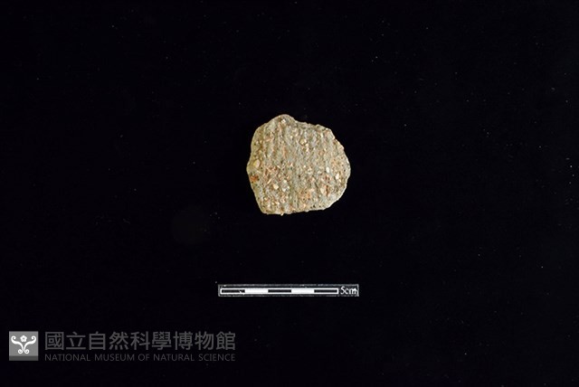 陶片藏品圖，第1張