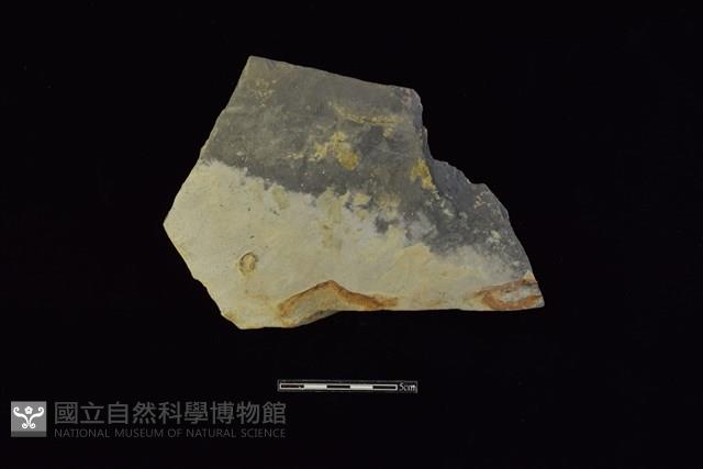 陶片藏品圖，第1張