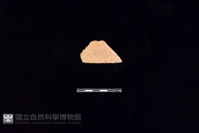 陶片藏品圖，第1張