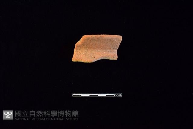 陶罐藏品圖，第1張