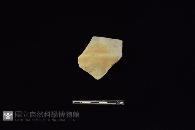 陶片藏品圖，第1張