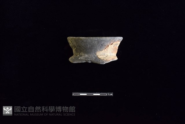 陶罐藏品圖，第1張