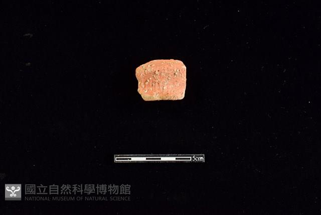 陶罐藏品圖，第1張