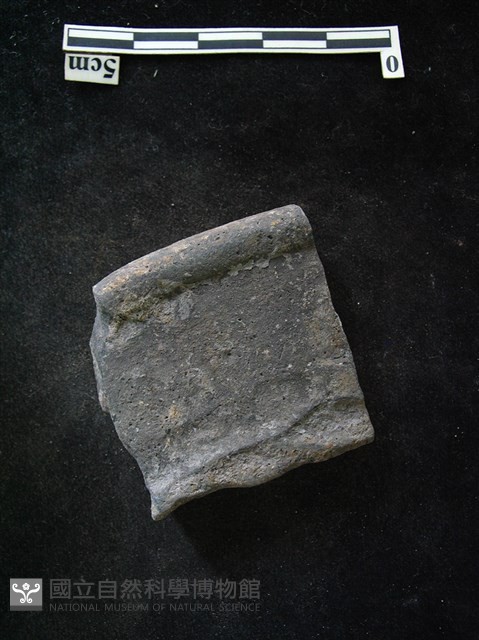 陶片藏品圖，第1張