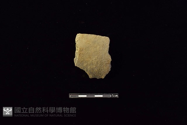 陶片藏品圖，第1張