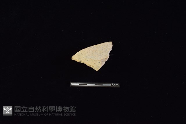陶片藏品圖，第1張