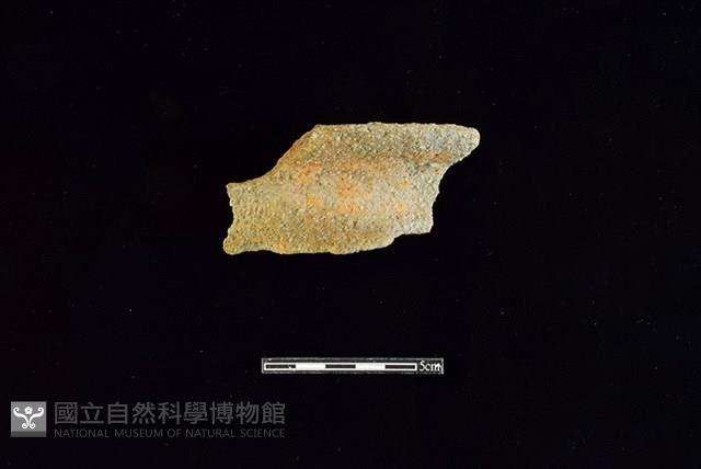 陶罐藏品圖，第1張