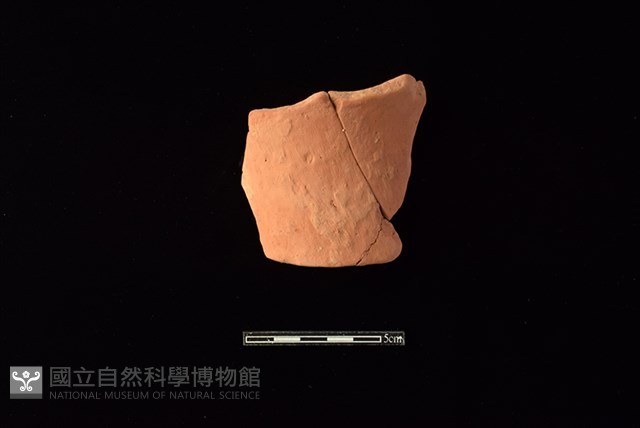 陶片藏品圖，第1張