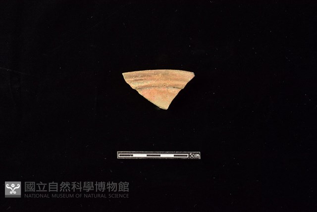 陶罐藏品圖，第1張