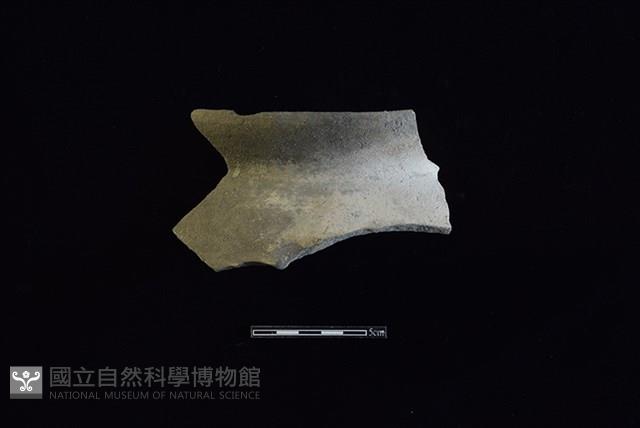 Accession Number:HLL-J PT1675 Collection Image, Figure 1, Total 2 Figures