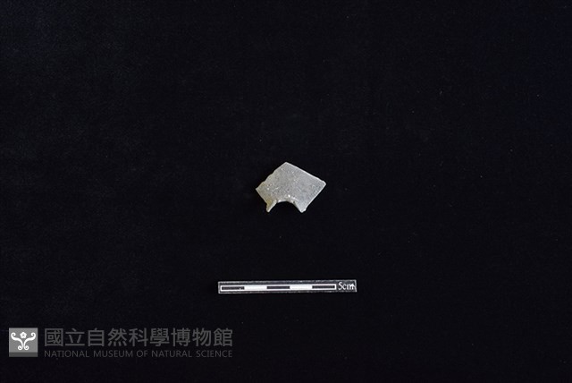 陶甑藏品圖，第1張