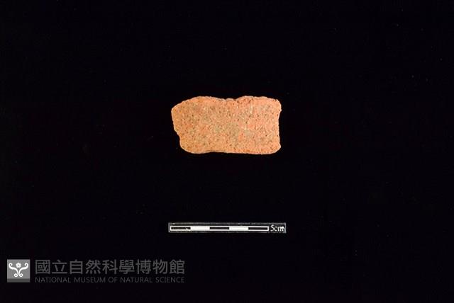 陶片藏品圖，第1張