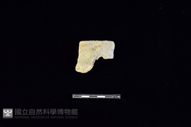 陶片藏品圖，第1張