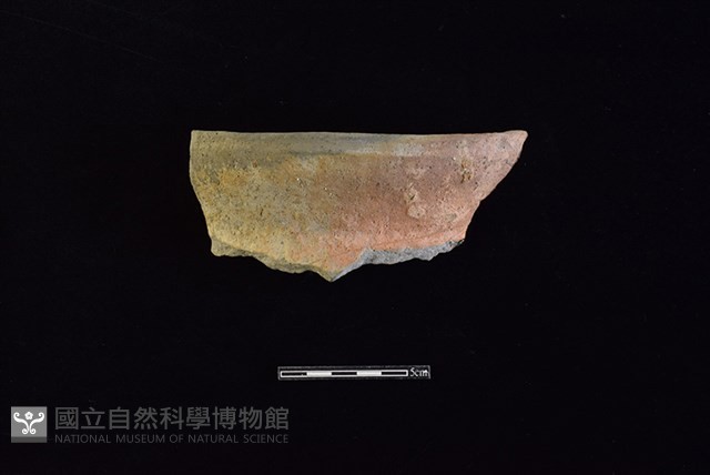 陶罐藏品圖，第1張