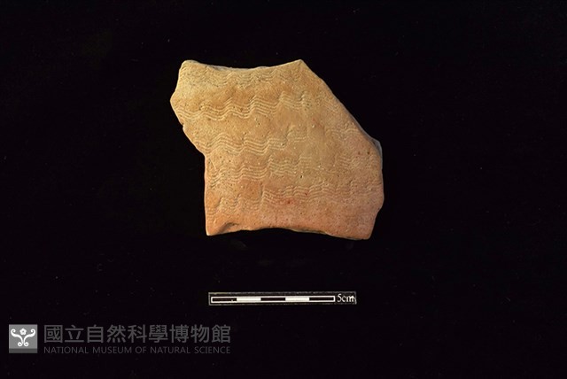 陶片藏品圖，第1張