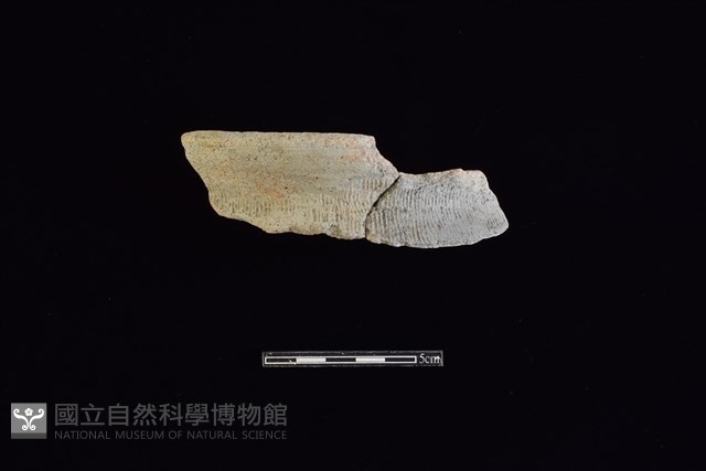 陶罐藏品圖，第1張