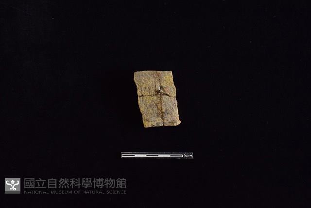 Accession Number:HLL-E PT0175 Collection Image, Figure 1, Total 2 Figures