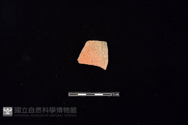 陶片藏品圖，第1張