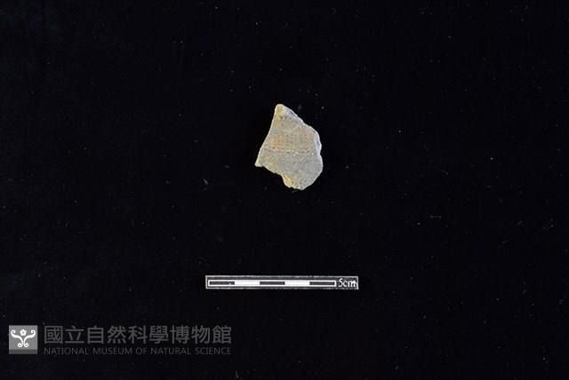 陶罐藏品圖，第1張