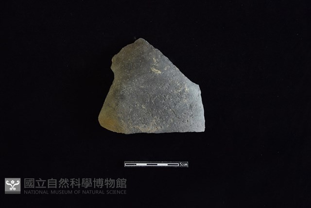 陶片藏品圖，第1張