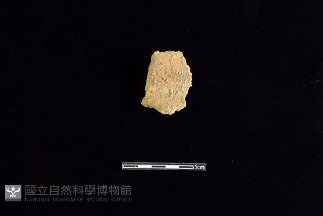 陶罐藏品圖，第1張