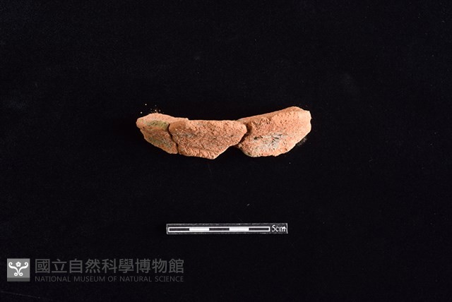 陶罐藏品圖，第1張