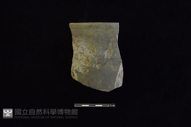 陶盆藏品圖，第1張