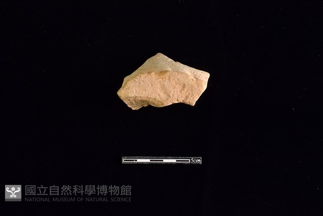 陶片藏品圖，第1張