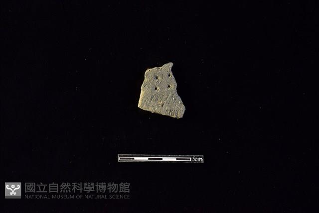 陶片藏品圖，第1張