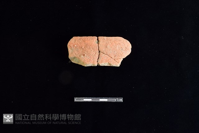 陶罐藏品圖，第1張