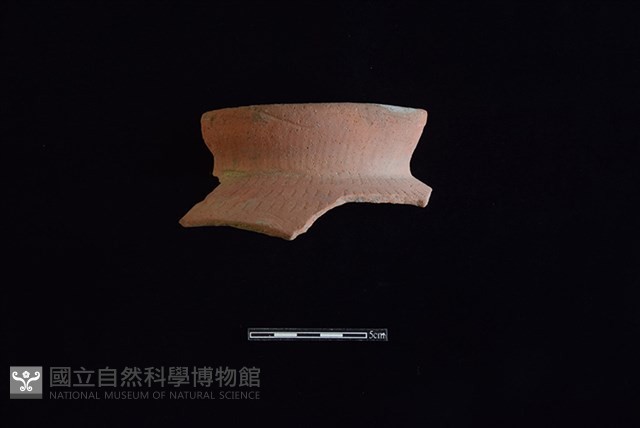 陶罐藏品圖，第1張