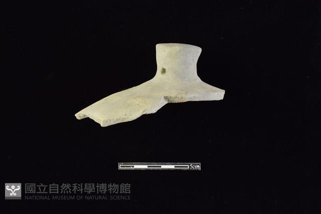 陶蓋鈕藏品圖，第1張