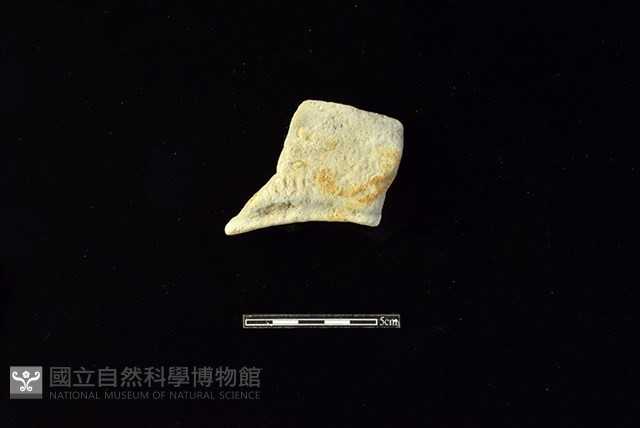 連杯形器藏品圖，第1張